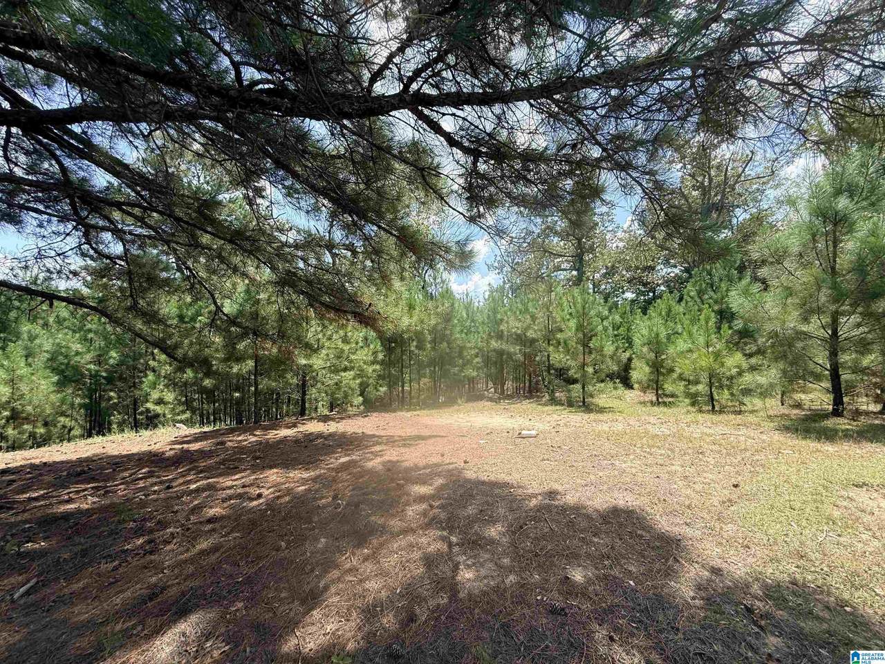 0000 Rockyview Road - Photo 1