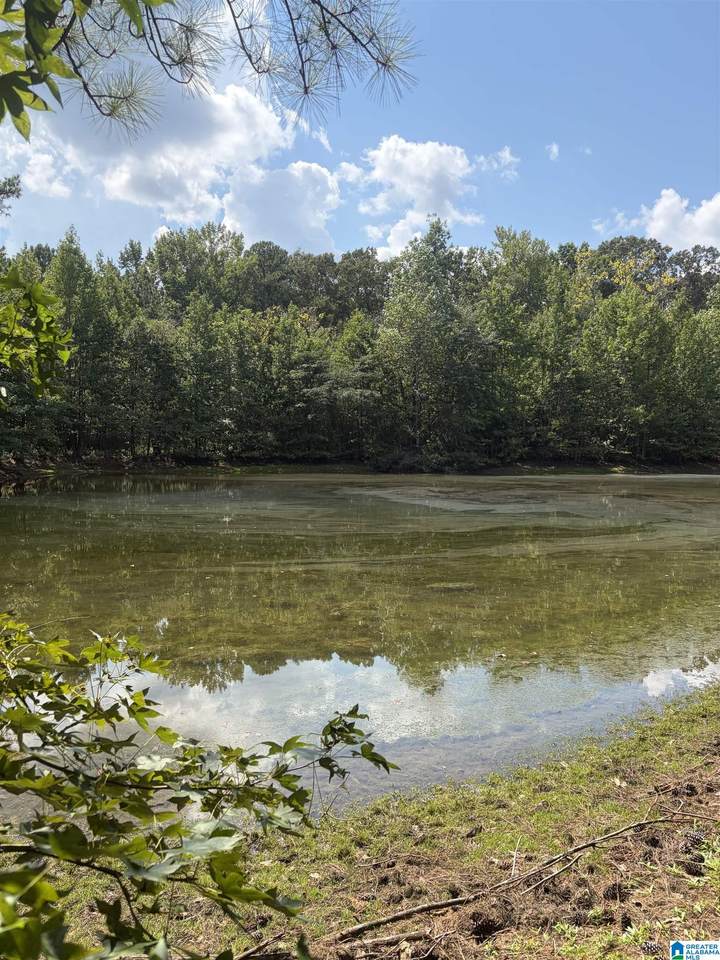 0 County Road 490 - Photo 1