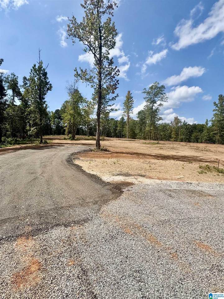 Lot14 Cam's Cov Old Highway 431 - Photo 1