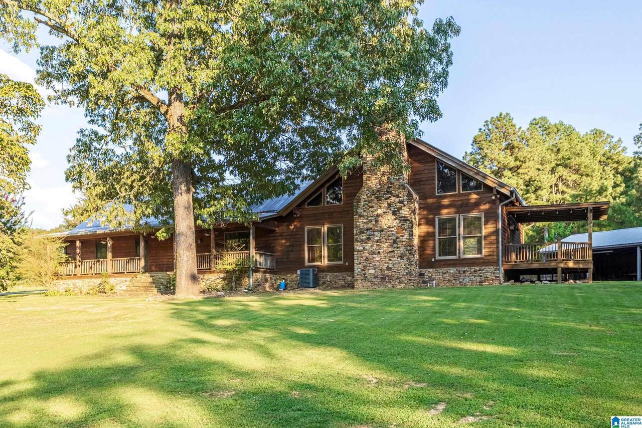 7046 Wolf Creek Road - Photo 1