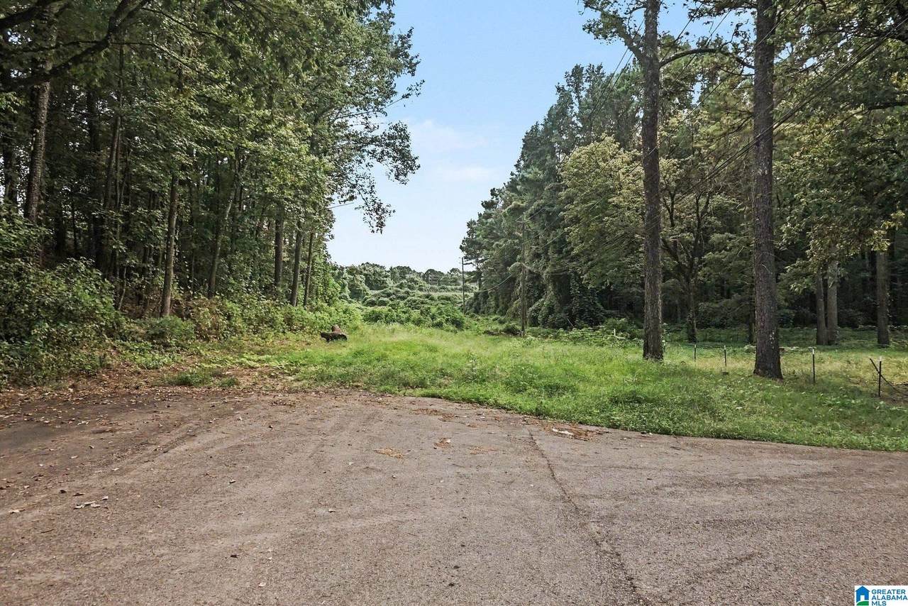 1556 Powder Plant Road - Photo 1