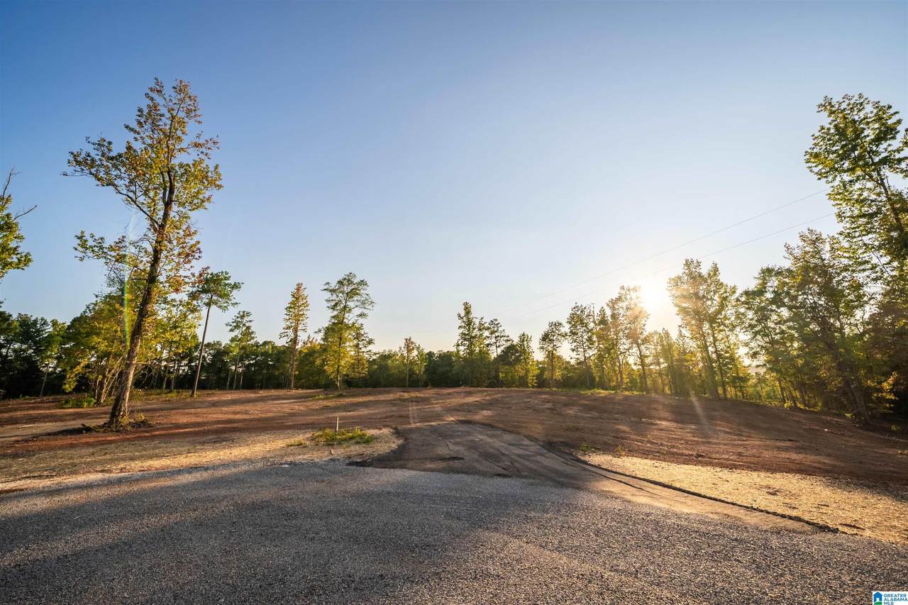 Lot13 Cam's Cov Old Highway 431 - Photo 1