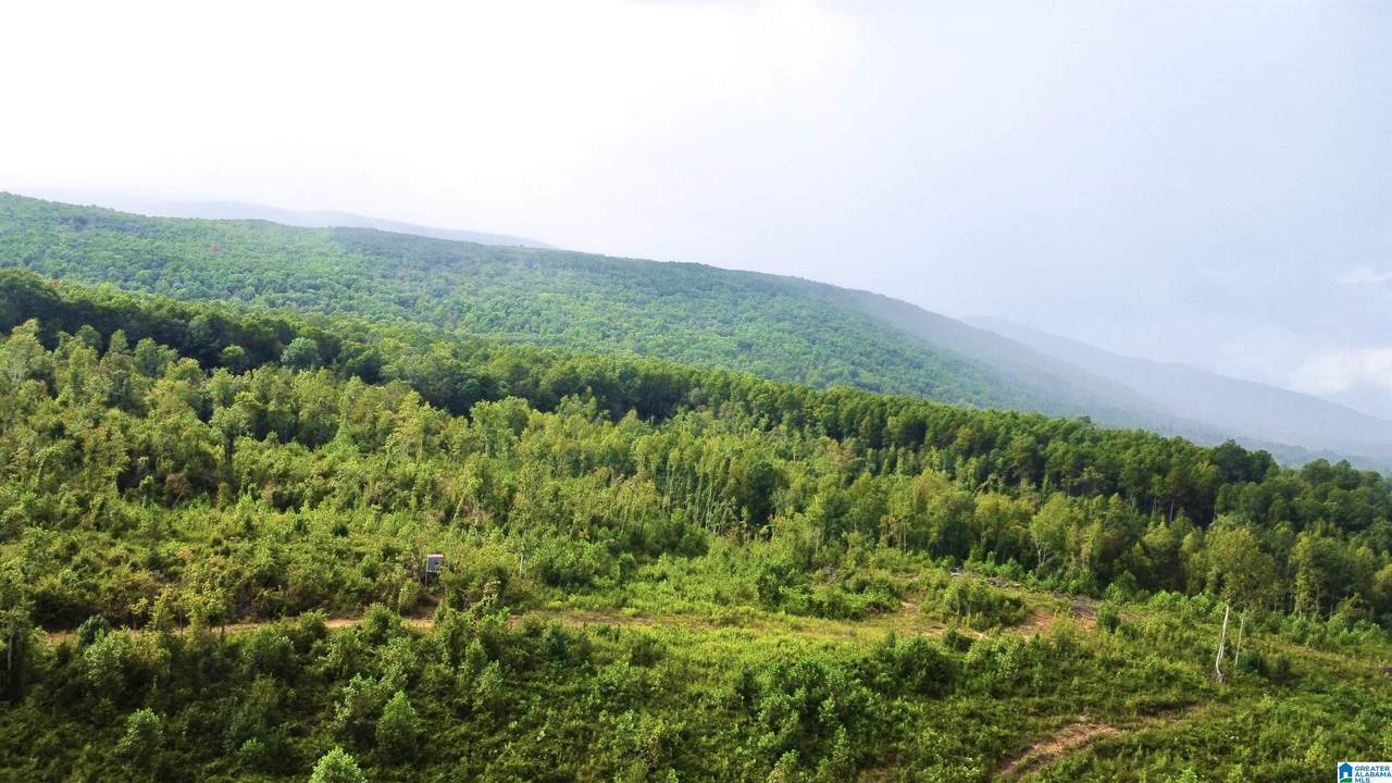 0 Nubbin Creek Road - Photo 1