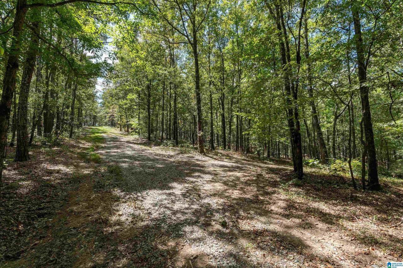 1385 County Road 467 - Photo 1