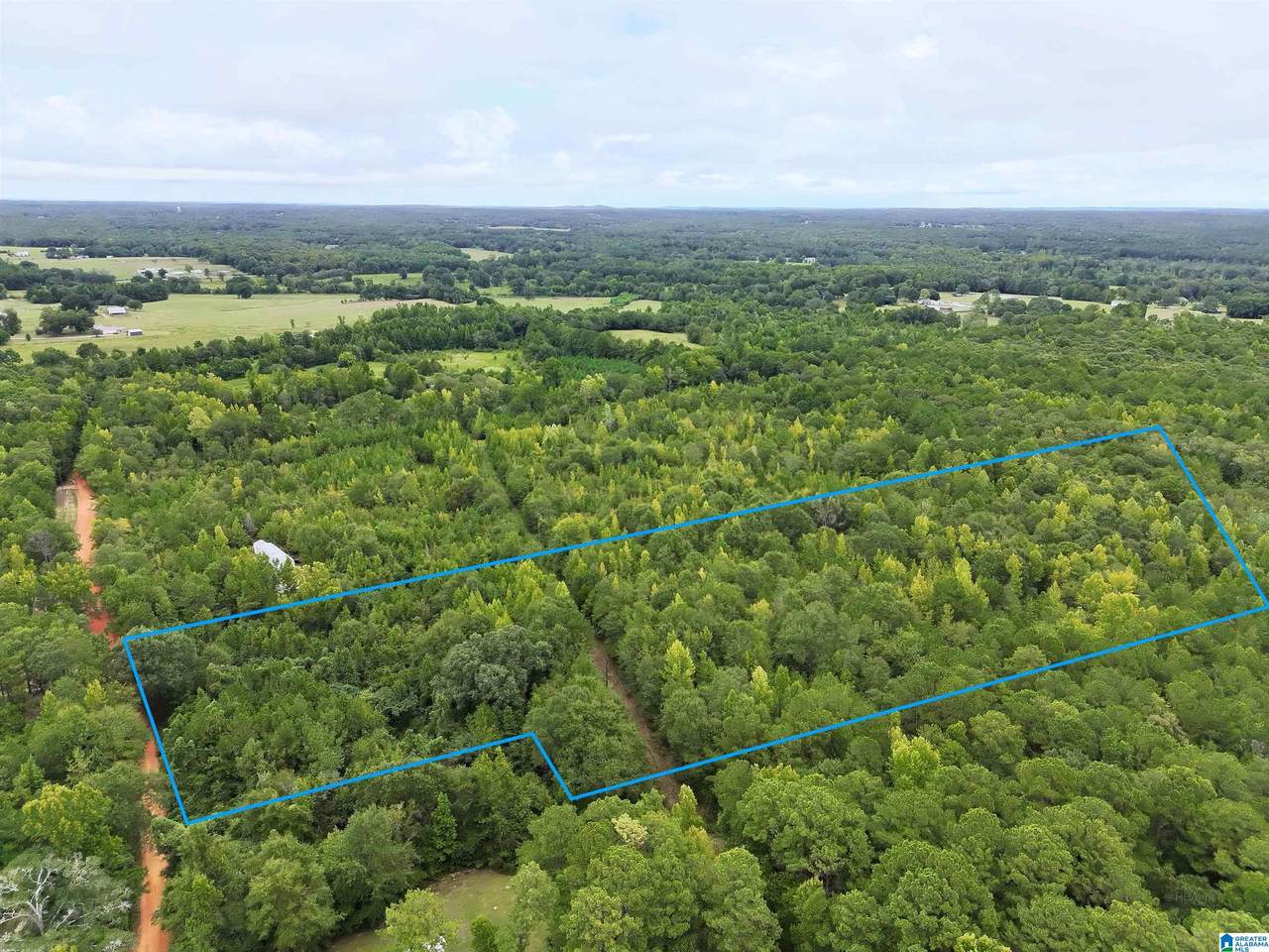 0 Scroggins Drive - Photo 1