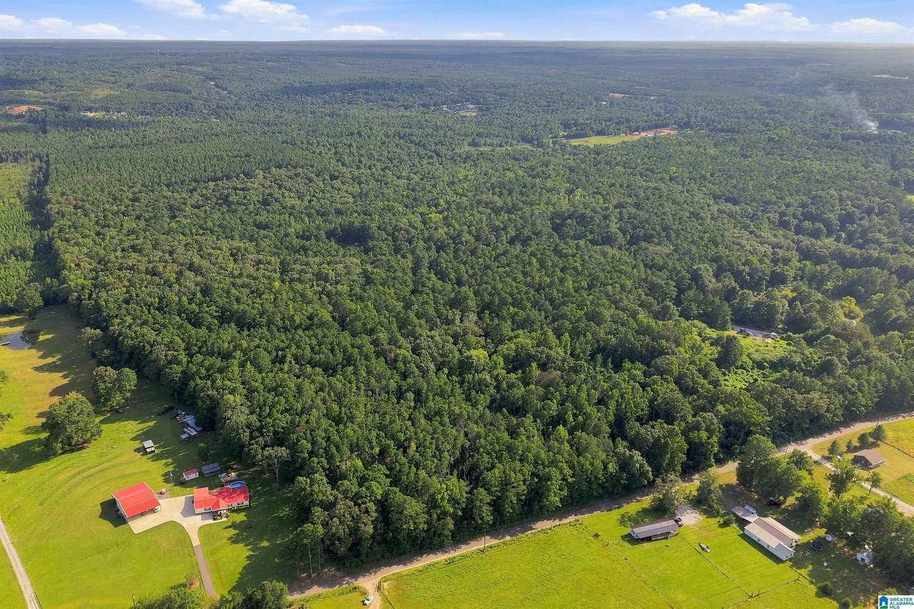 0 County Road 128 - Photo 1