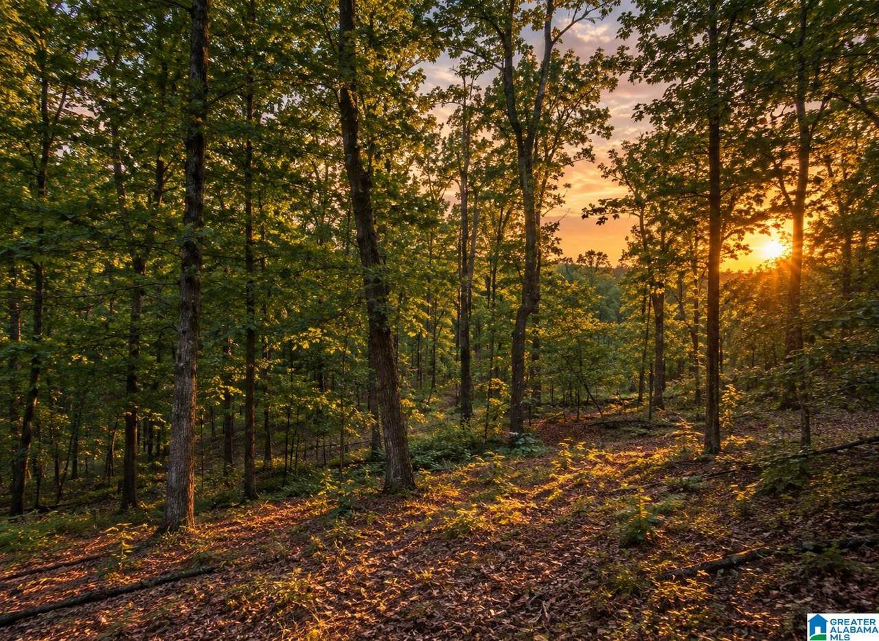 https://bt-photos.global.ssl.fastly.net/birmingham/1280_boomver_1_21465202-2.jpg