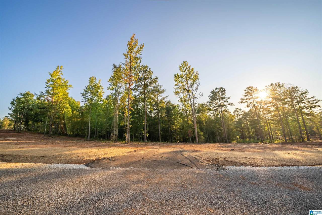 Lot17 Cam's Cov Old Highway 431 - Photo 1