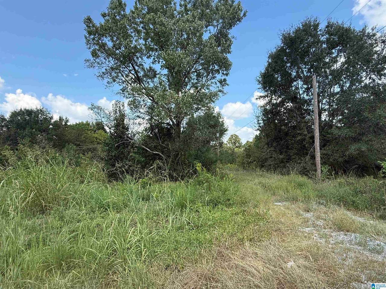 5889 Highway 278 - Photo 1