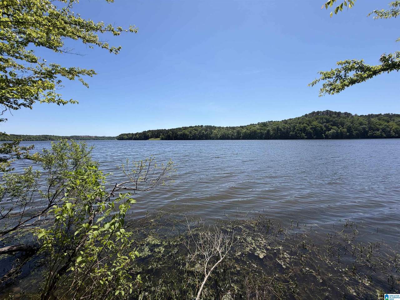  Stillwaters Trail - Photo 1