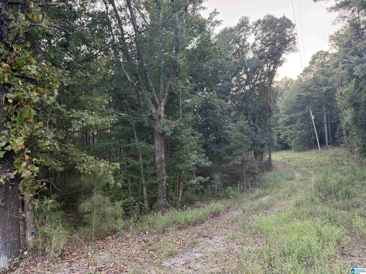 7195 Lou George Loop - Photo 1
