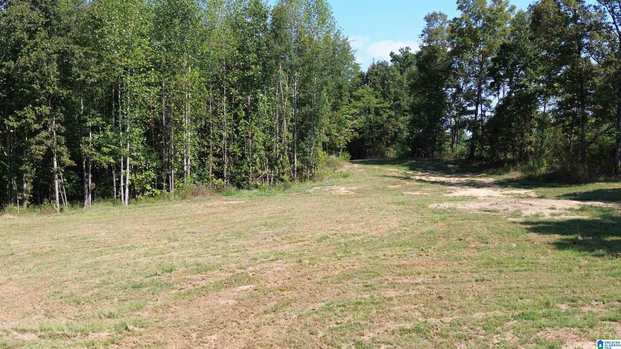 00 County Road 222 - Photo 1