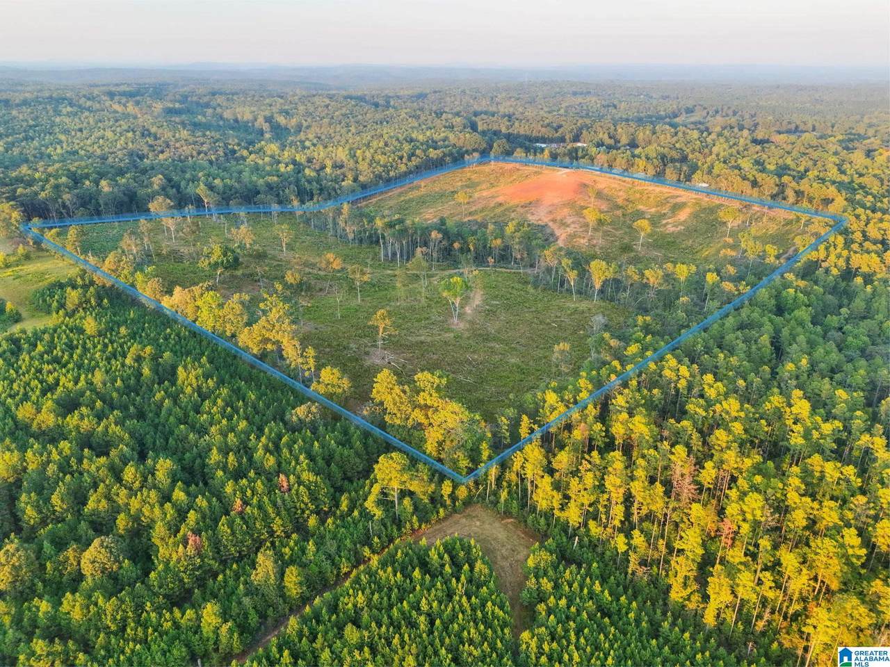 5651 County Road 97 - Photo 1