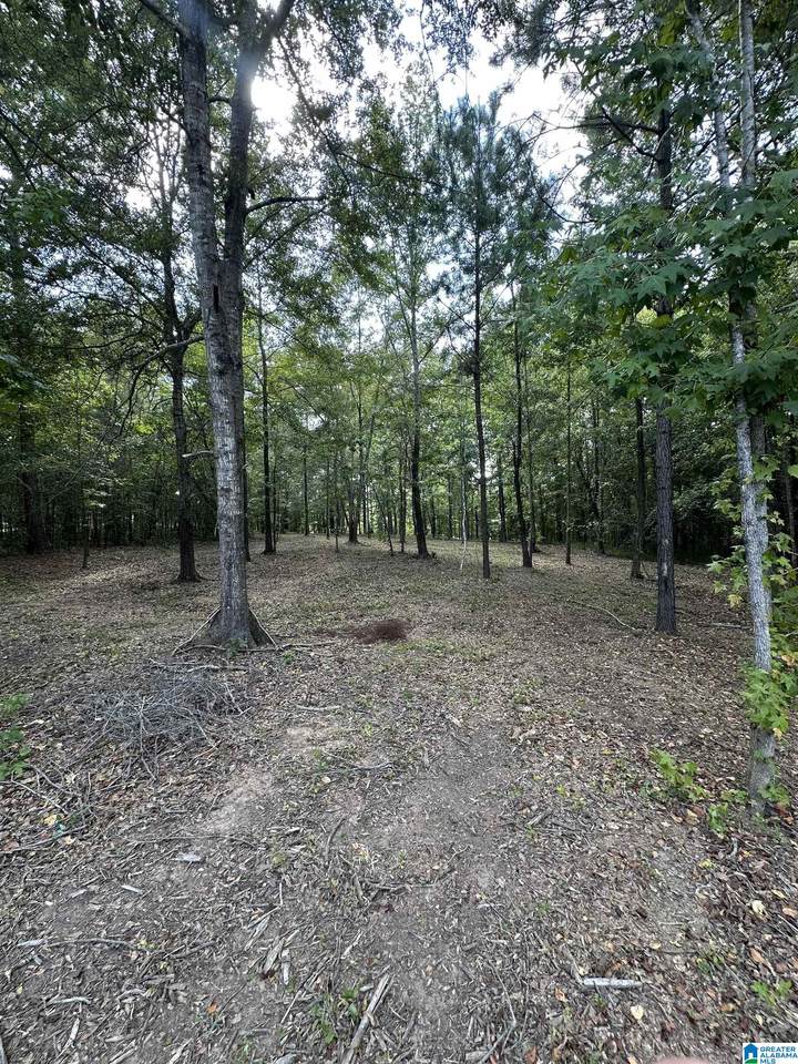 Lot 59 General Jackson Memorial Drive - Photo 1