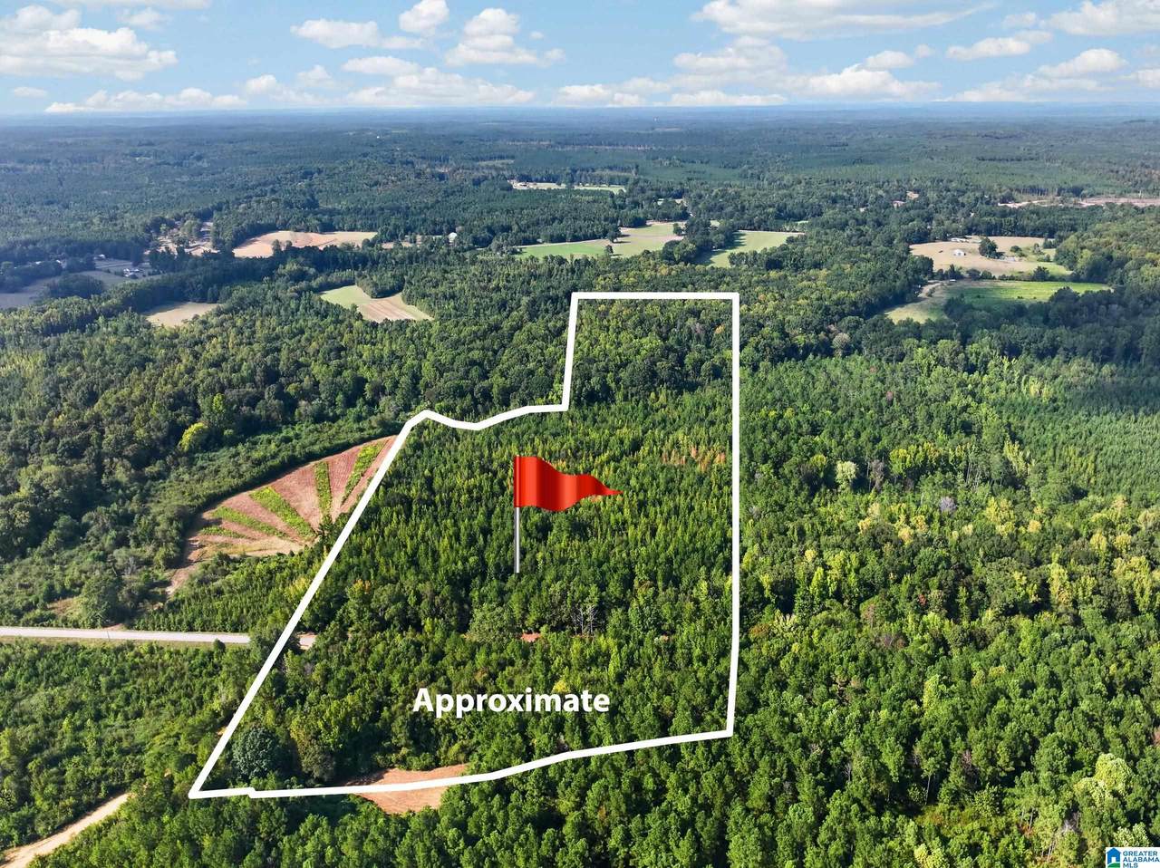 00000 Liberty Lyles Road - Photo 1