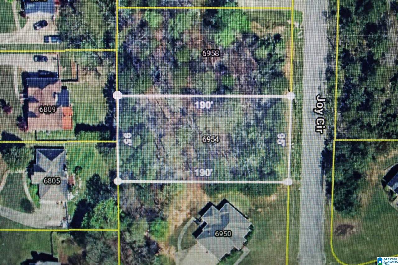 6954 Joy Circle - Photo 1