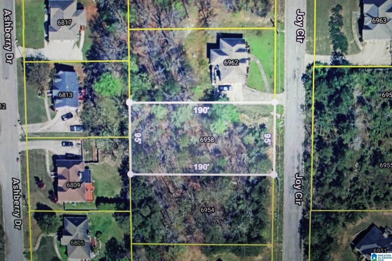 6958 Joy Circle - Photo 1
