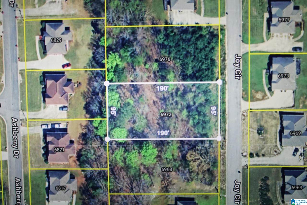 6972 Joy Circle - Photo 1