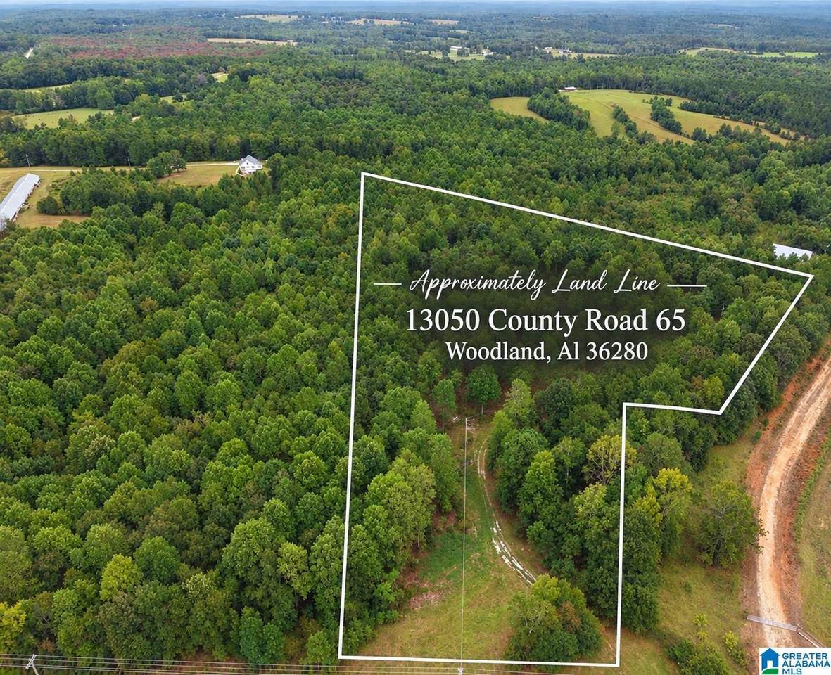 13050 County Road 65 - Photo 1