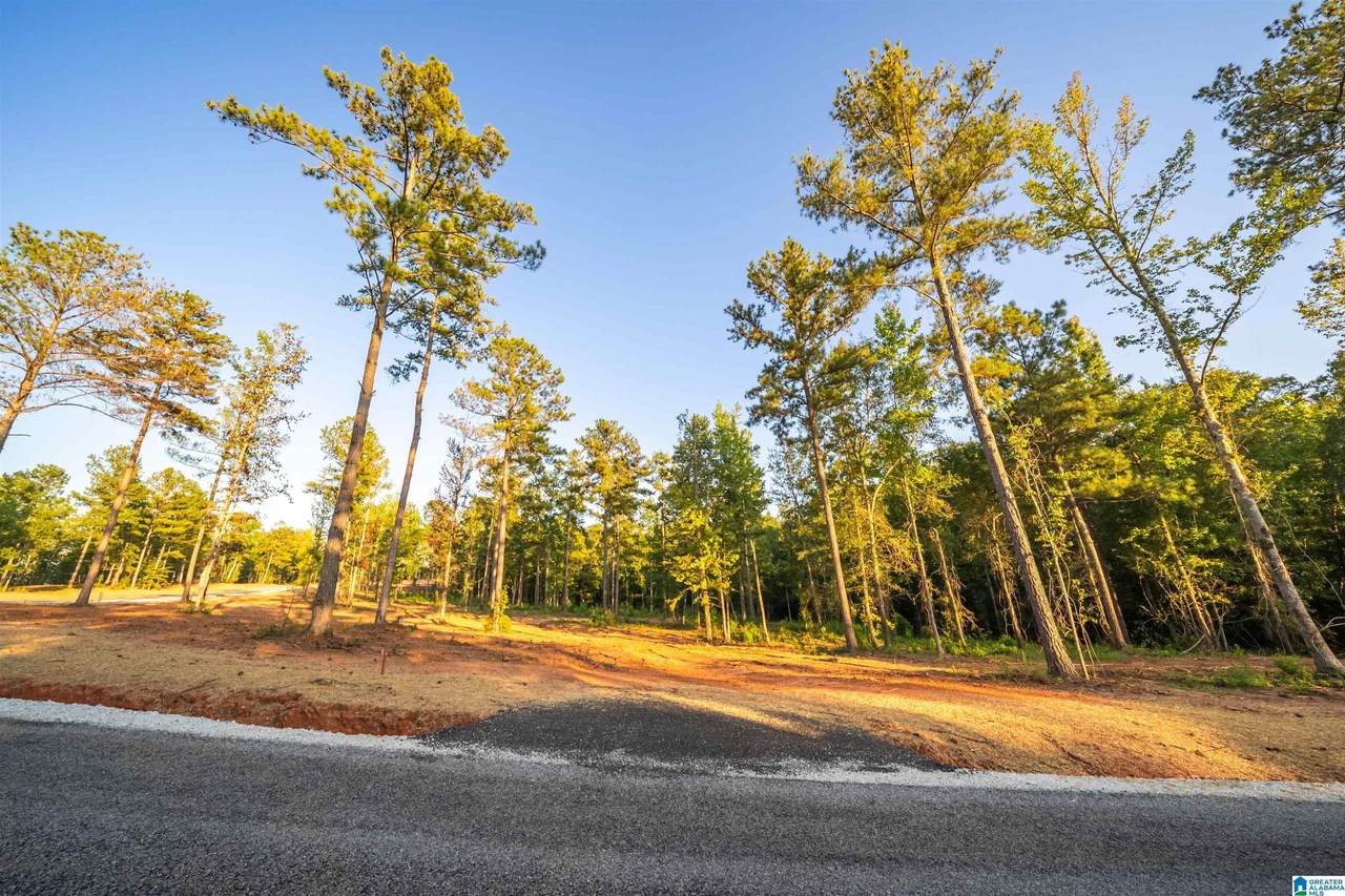 Lot19 Cam's Cov Old Highway 431 - Photo 1