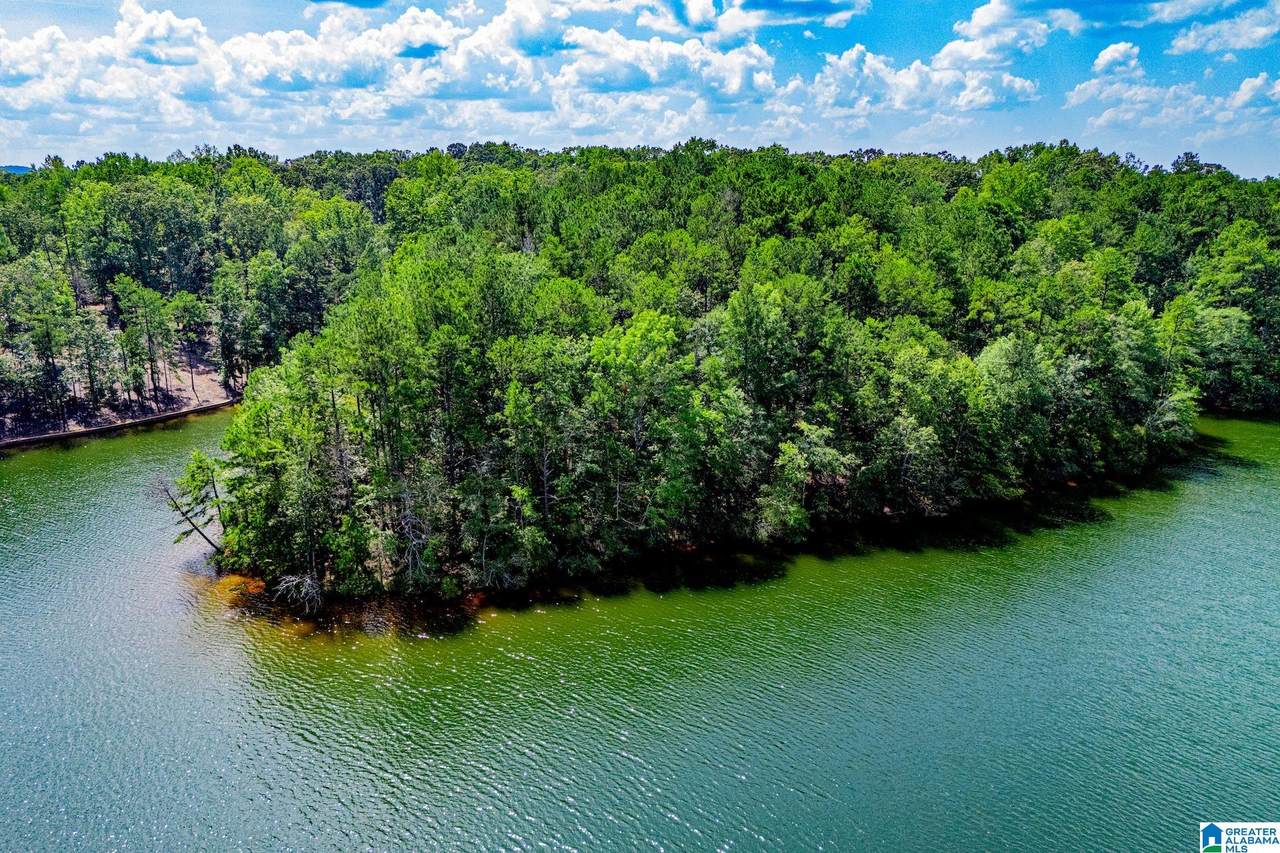 4.77 acres County Road 247 - Photo 1