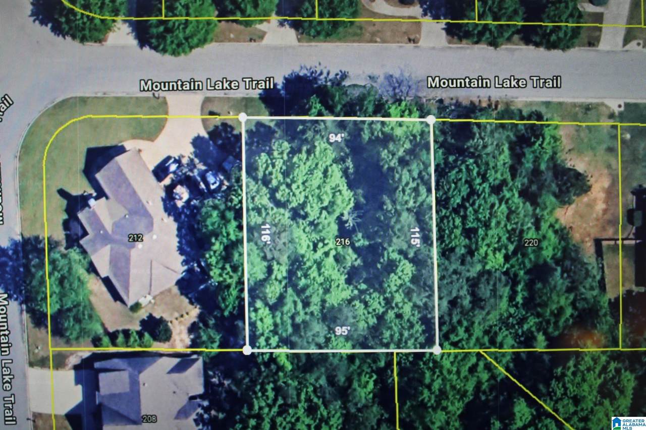 216 Mountain Lake Trail - Photo 1