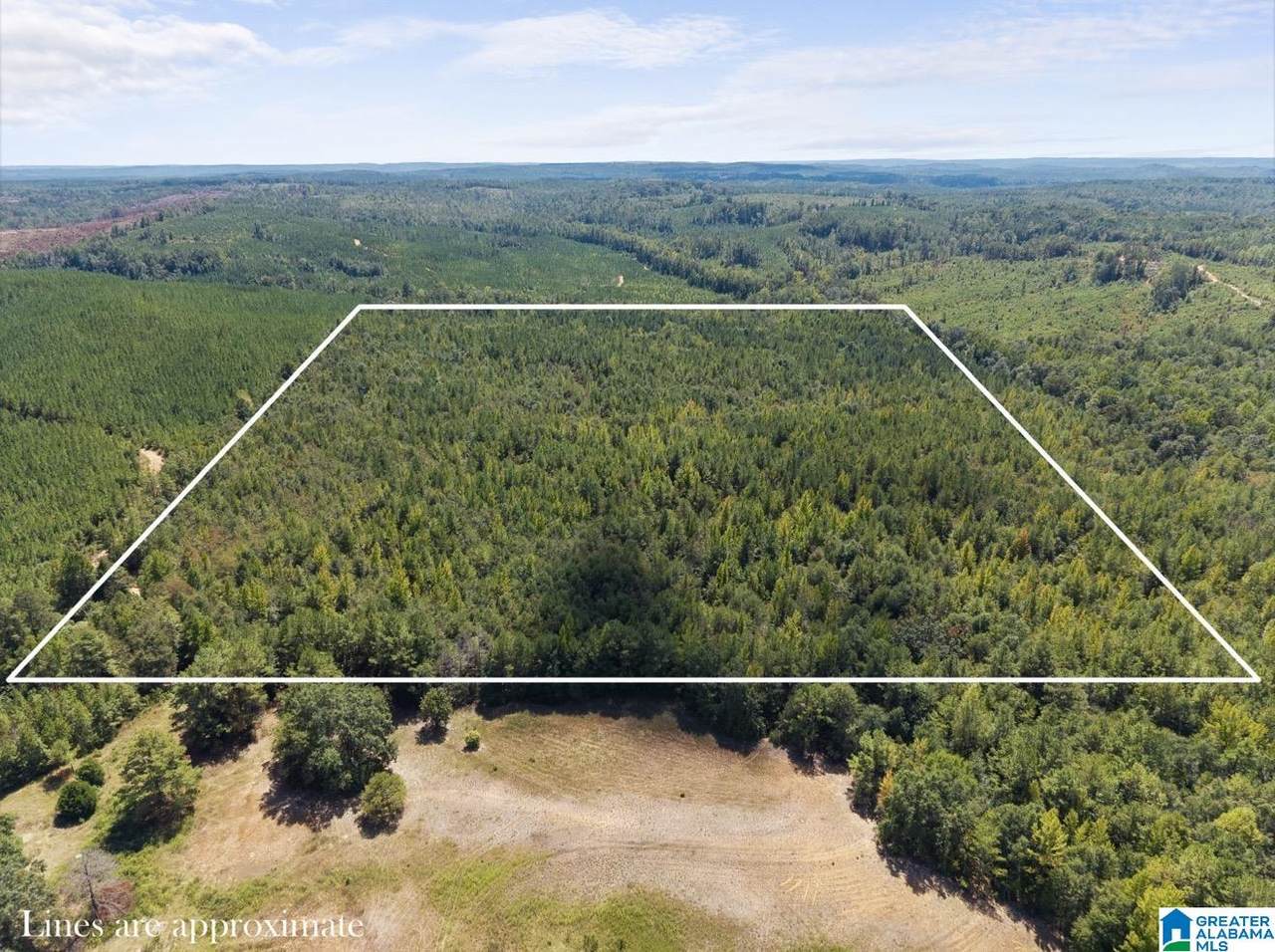 0 County Road 750 - Photo 1