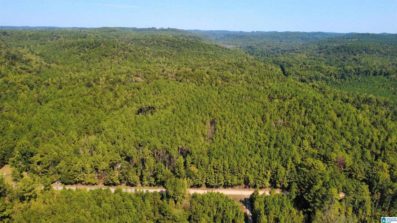 275 Pendley Creek Road - Photo 1
