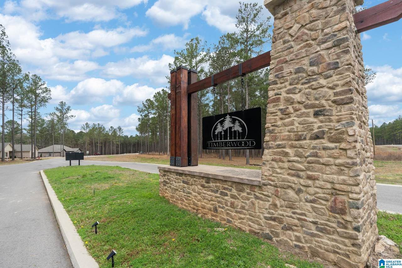 Lot #18 Northside Road - Photo 1