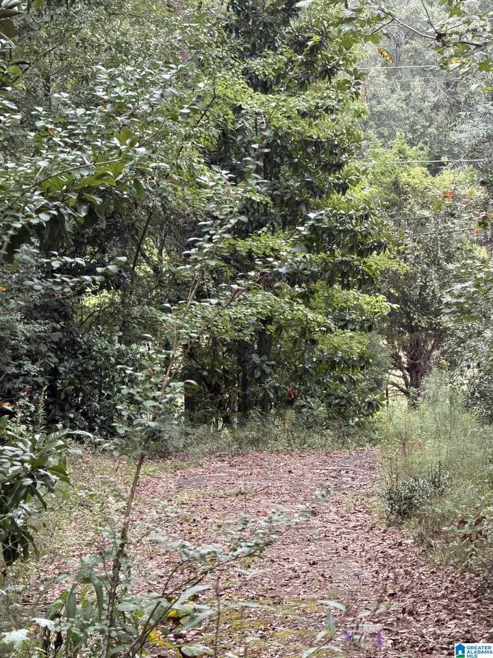 0 Dearmanville Road - Photo 1