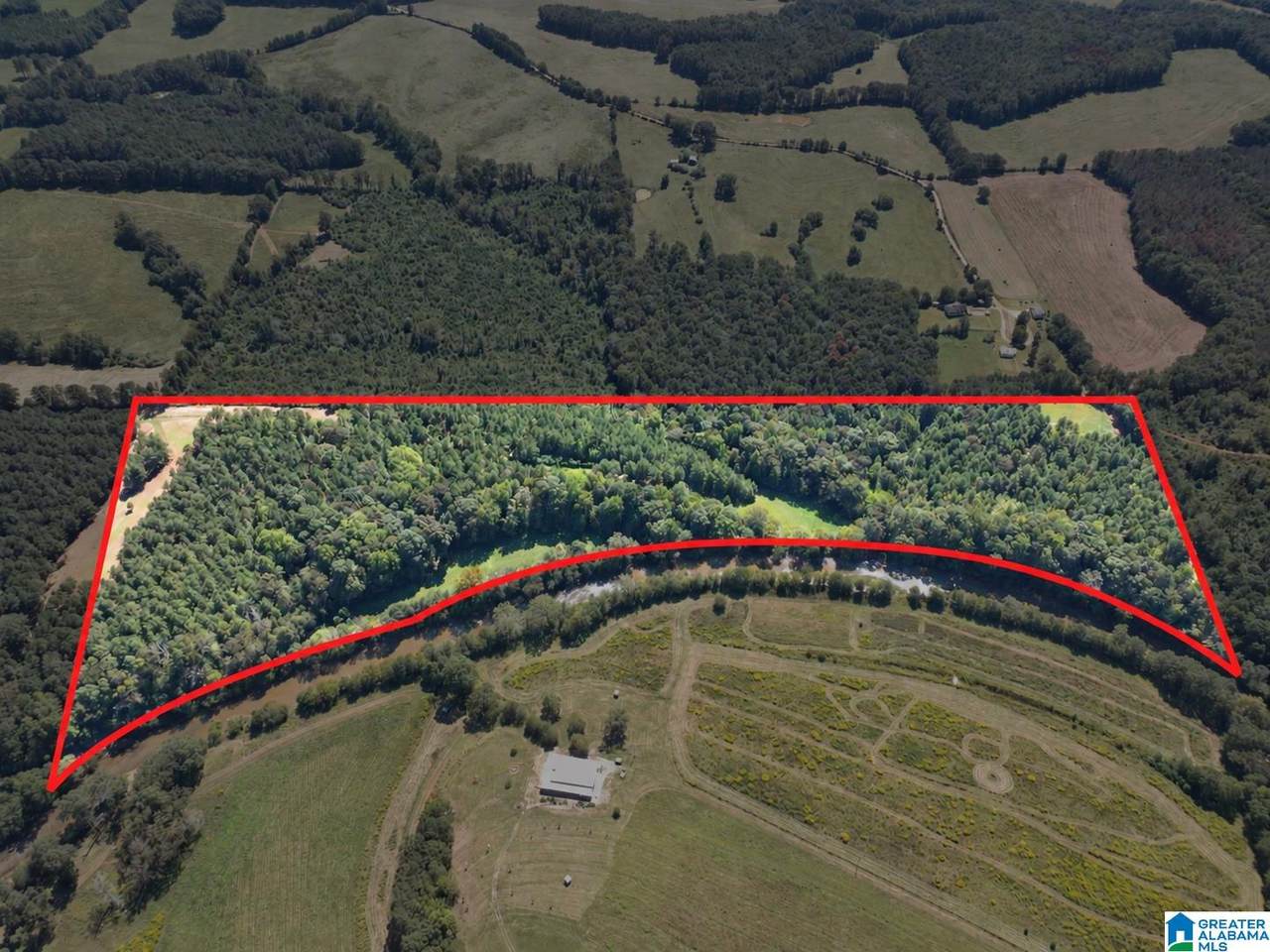 40+/- Acres County Road 457 - Photo 1
