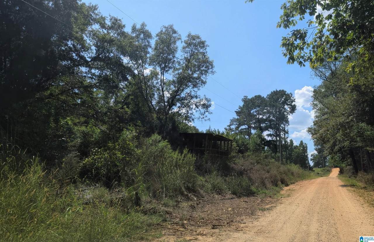 00 County Road 163 - Photo 1