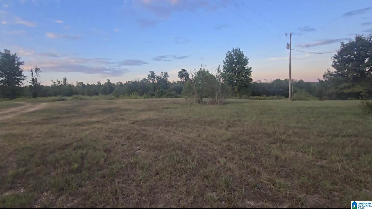 0 County Road 351 - Photo 1