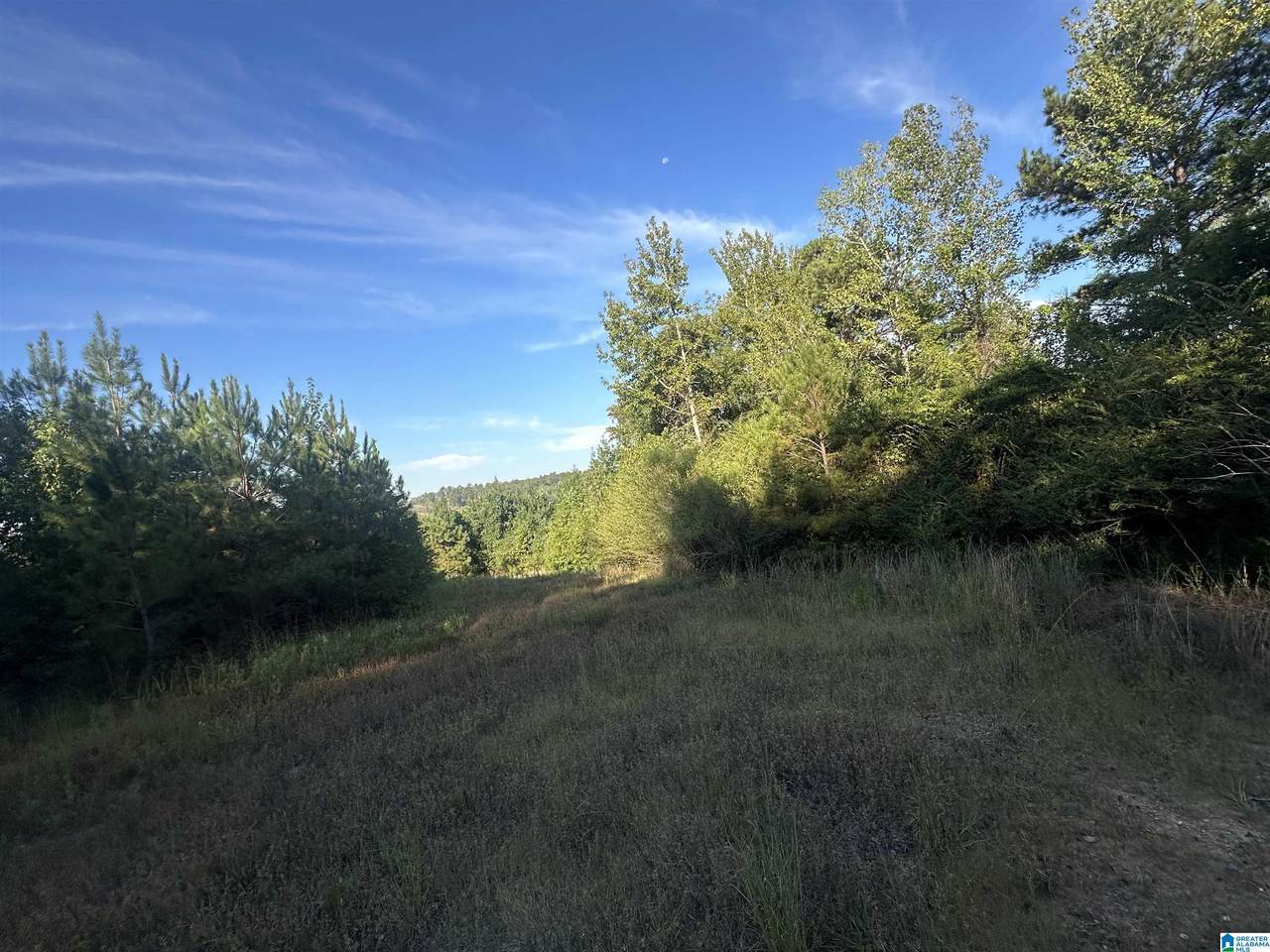 0 County Road 317 - Photo 1