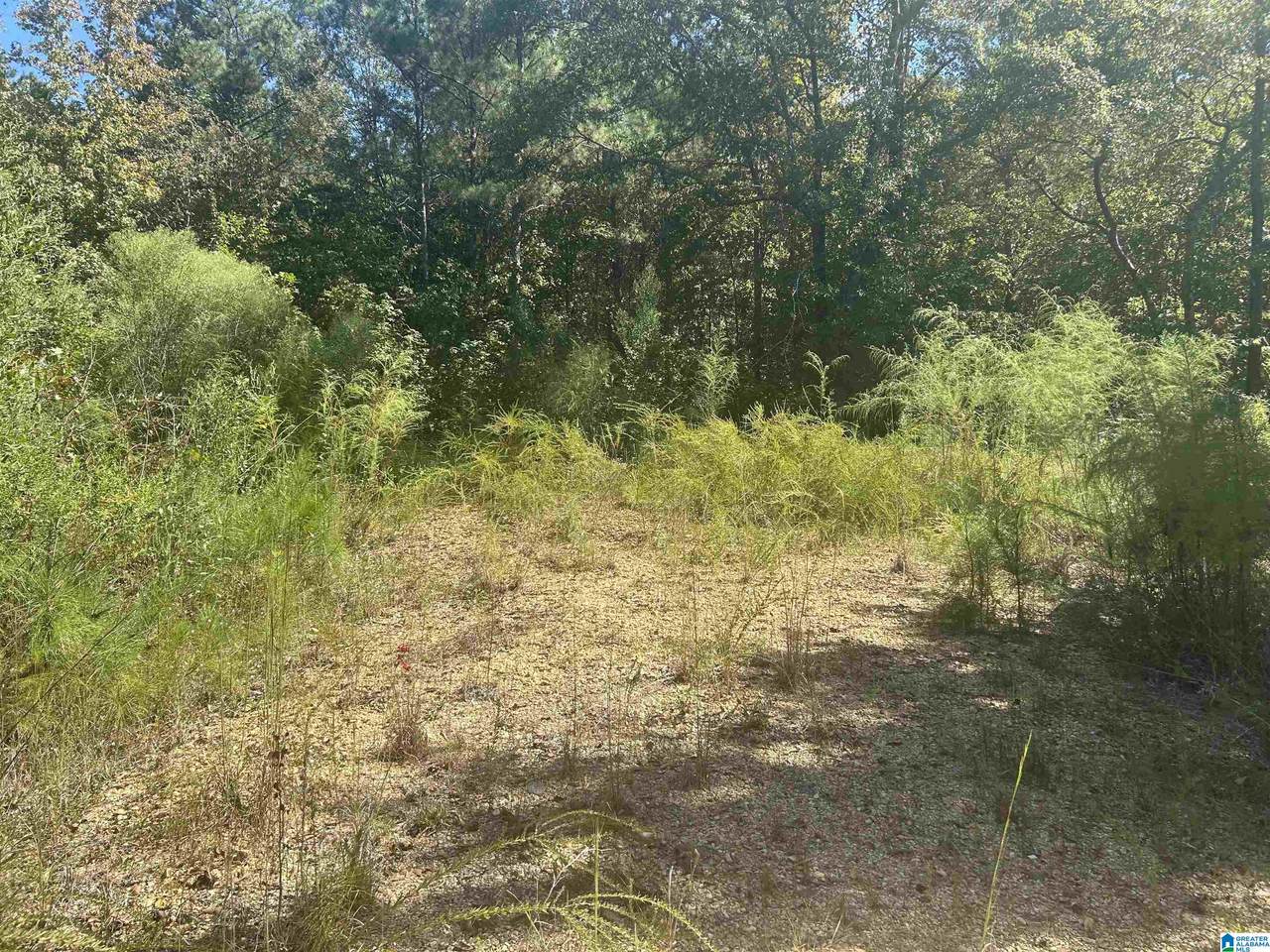 Lot 4 Mill Creek Road - Photo 1