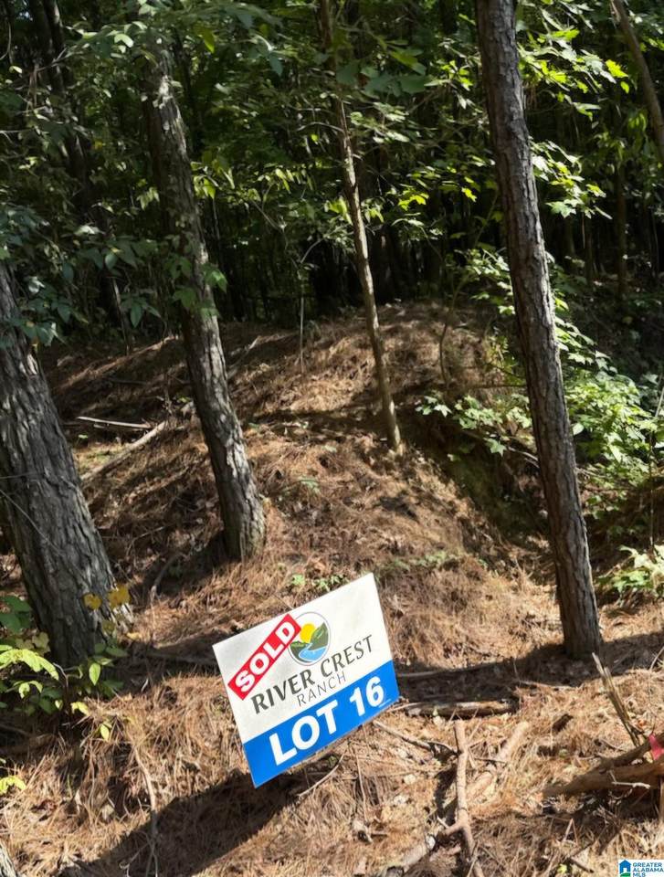 lot 16 River Crest Drive - Photo 1