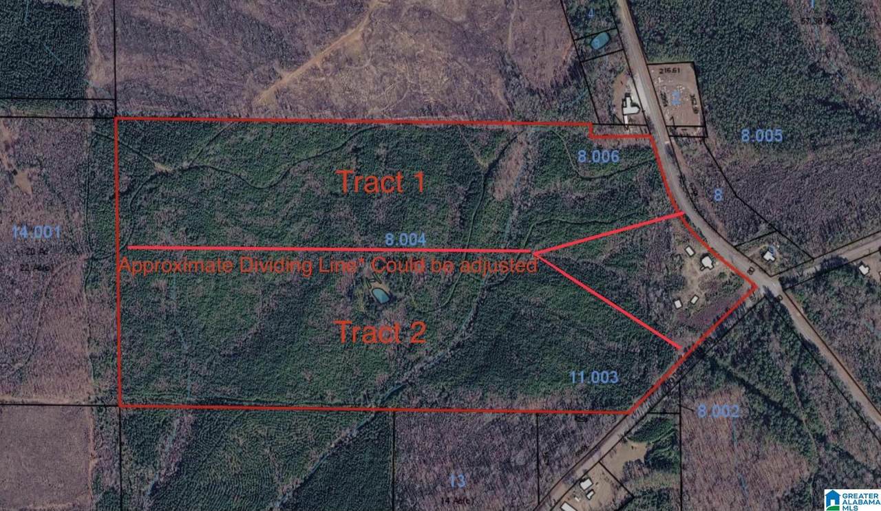 0 County Road 79 - Photo 1
