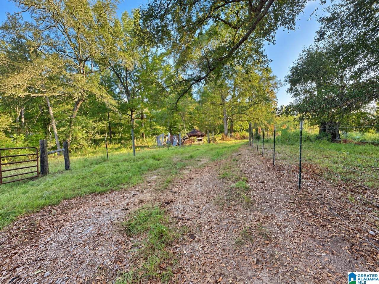 0 County Road 319 - Photo 1