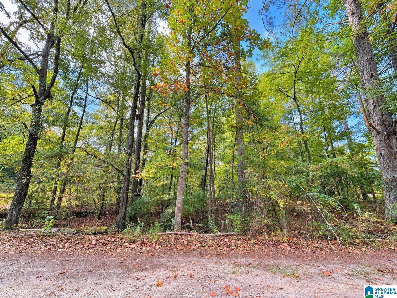 Lot 4 Hickory Hollow - Photo 1