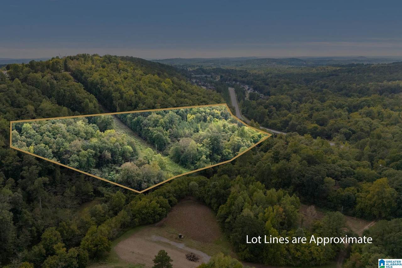 4420 Ross Bridge Parkway - Photo 1