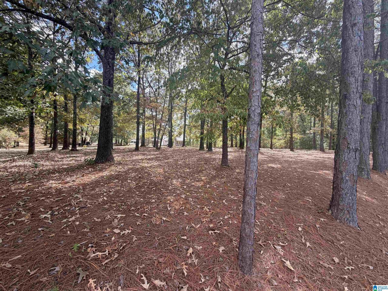 5774 Dana Circle - Photo 1