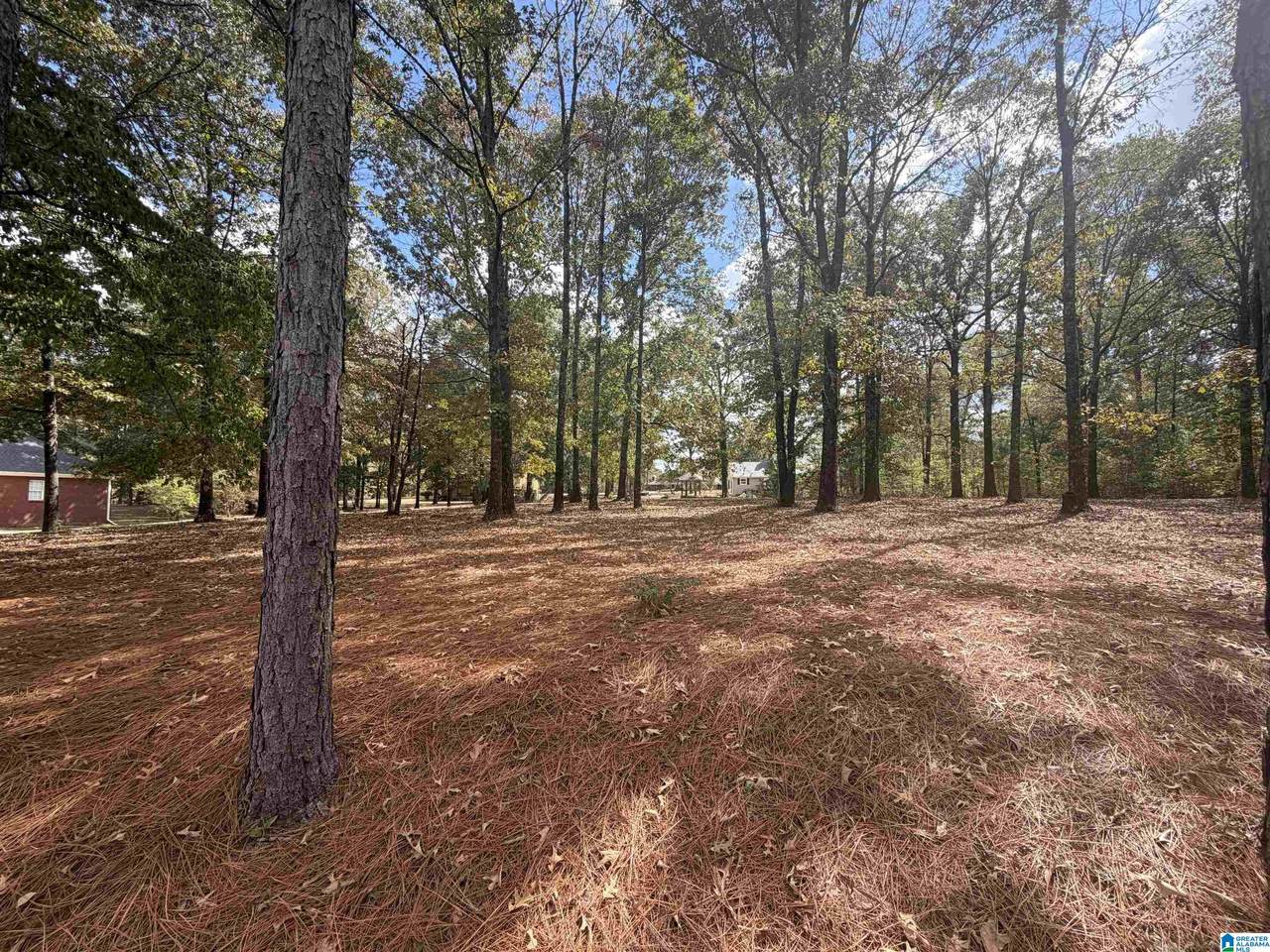 5786 Dana Circle - Photo 1