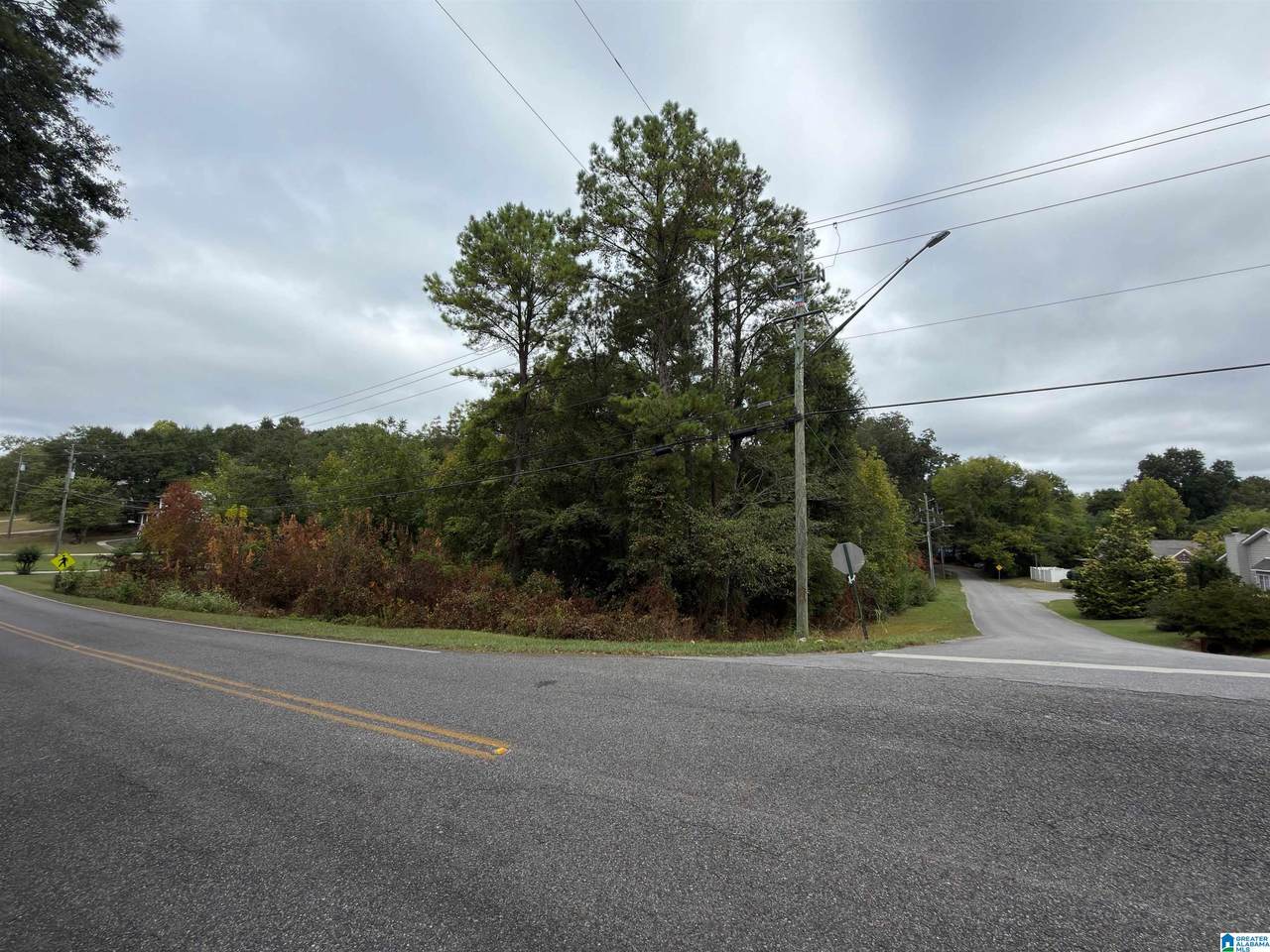 1528 Hill Spun Road - Photo 1