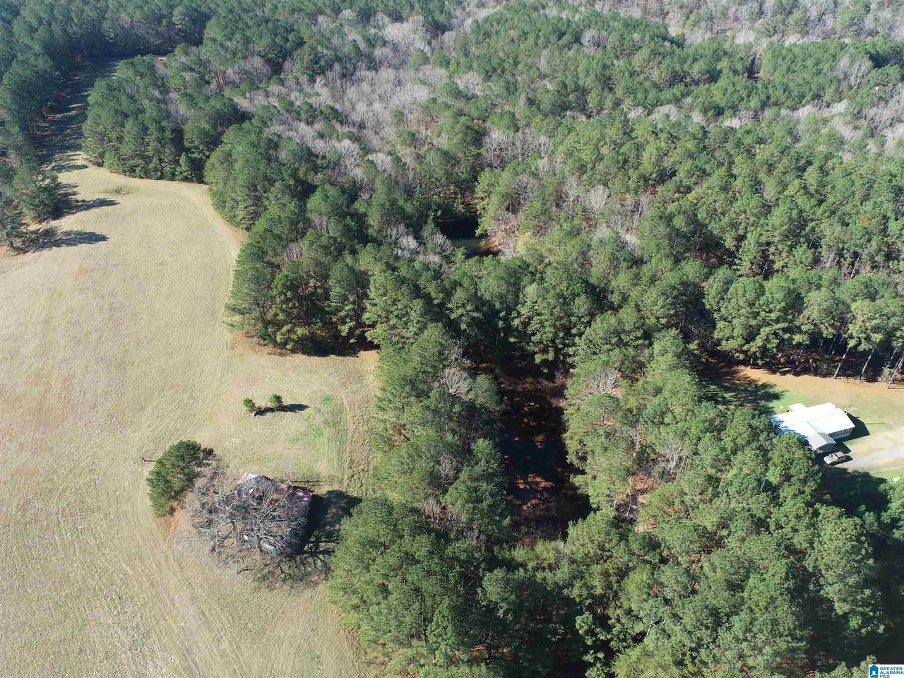 18851 Cattle Ranch Road - Photo 1