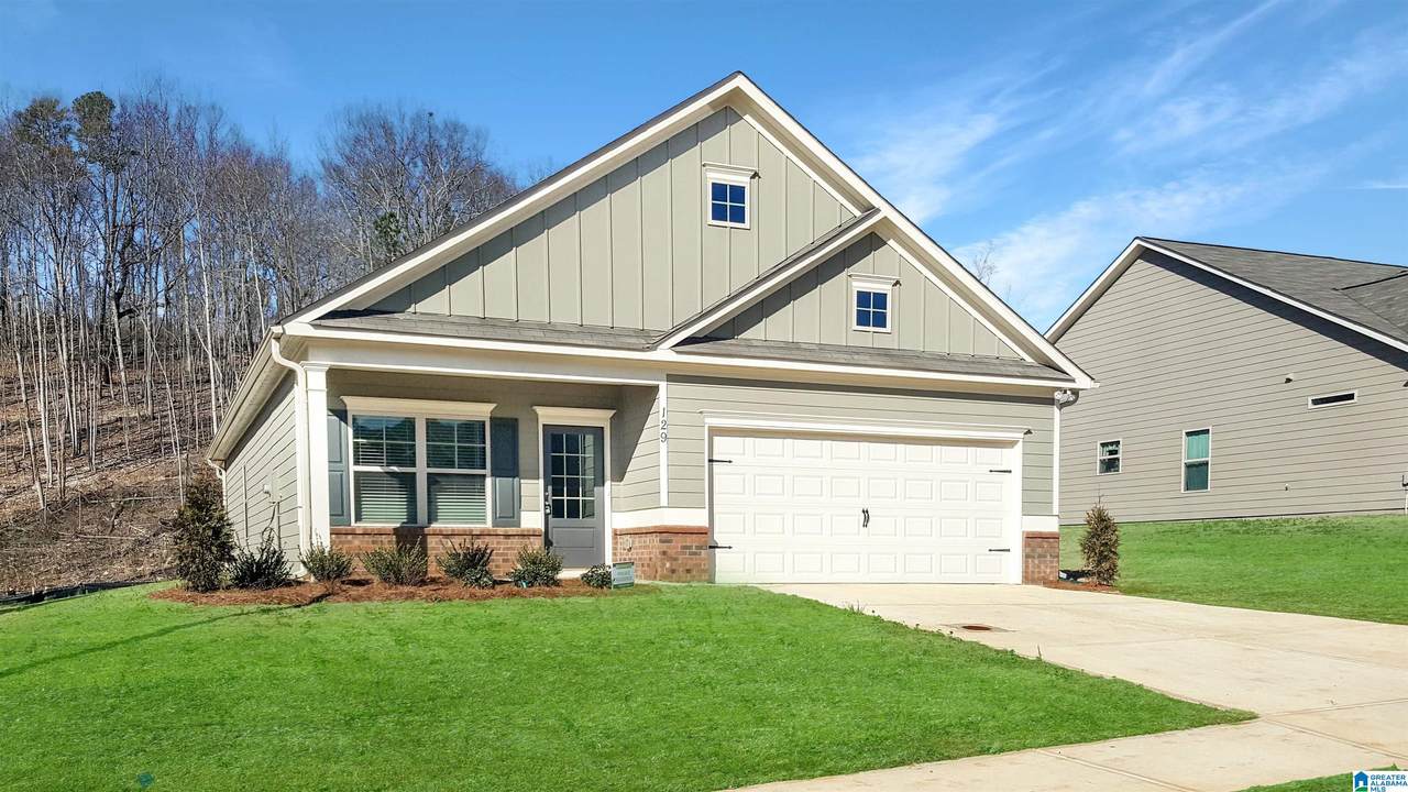 TBD Valley Circle - Photo 1