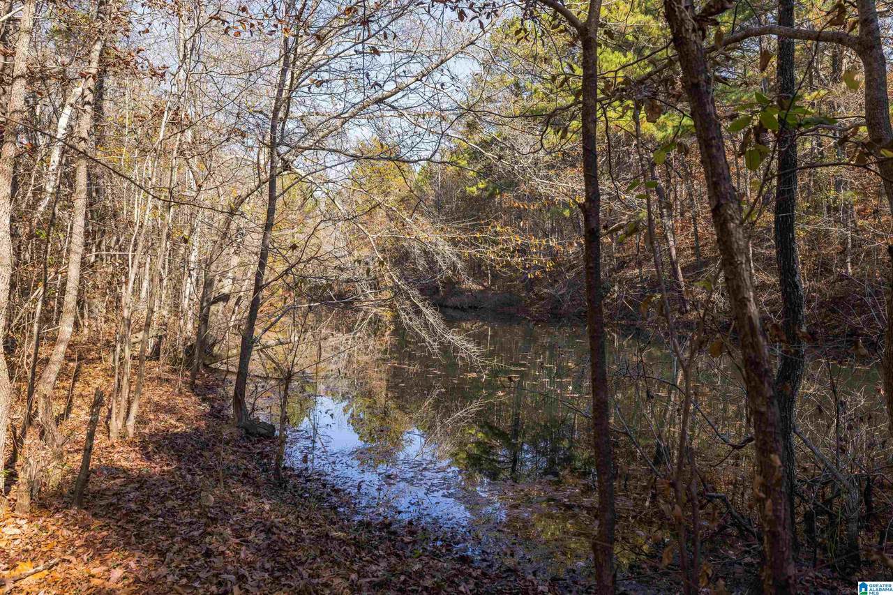 1684 Brookside Coalburg Road - Photo 1