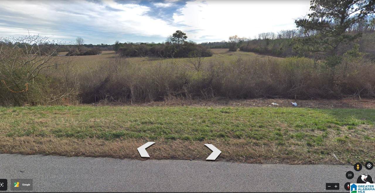 133 ACRES Highway 280 - Photo 1