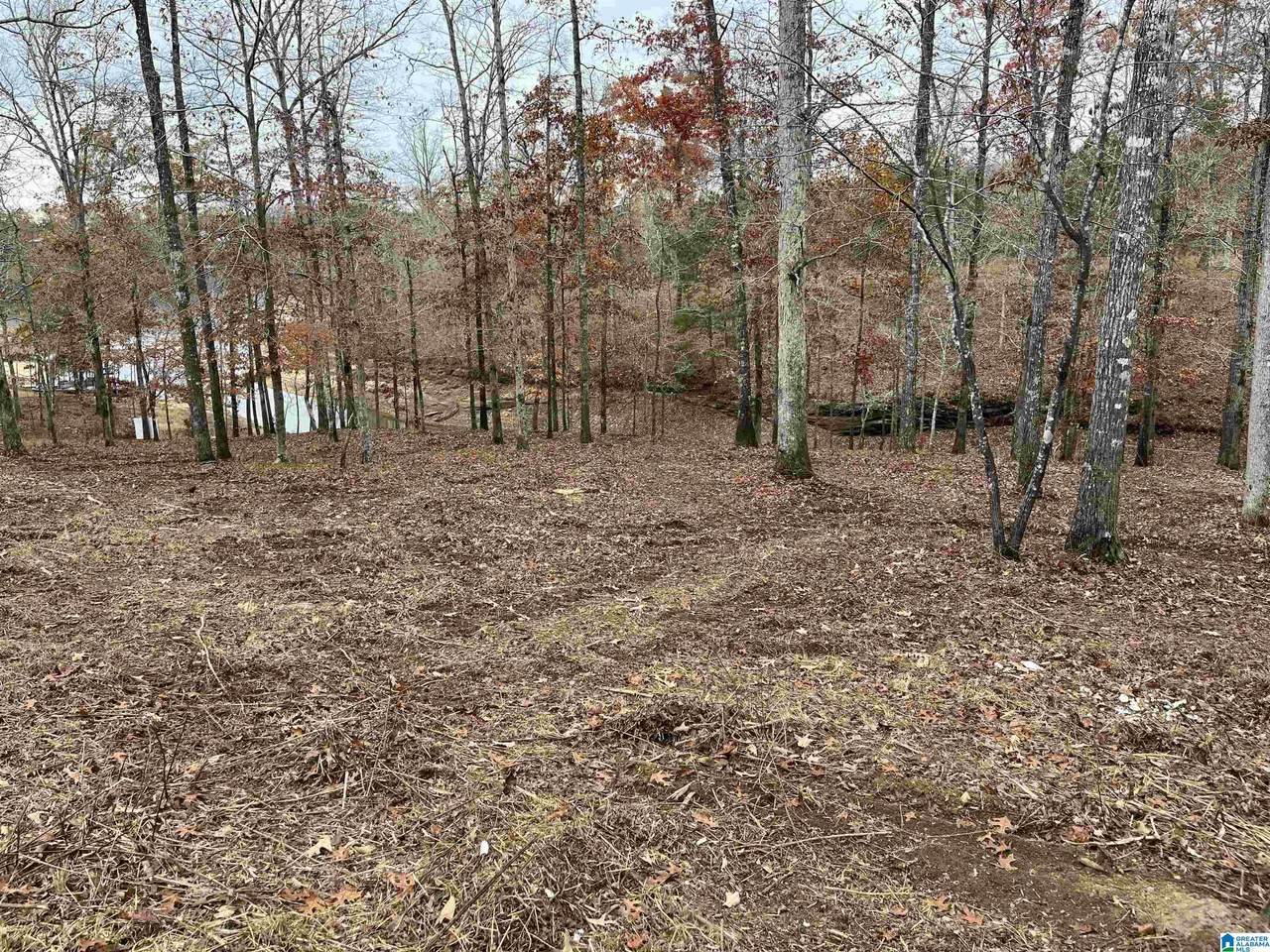 Lot 22/22A Edgewater Bend Road - Photo 1