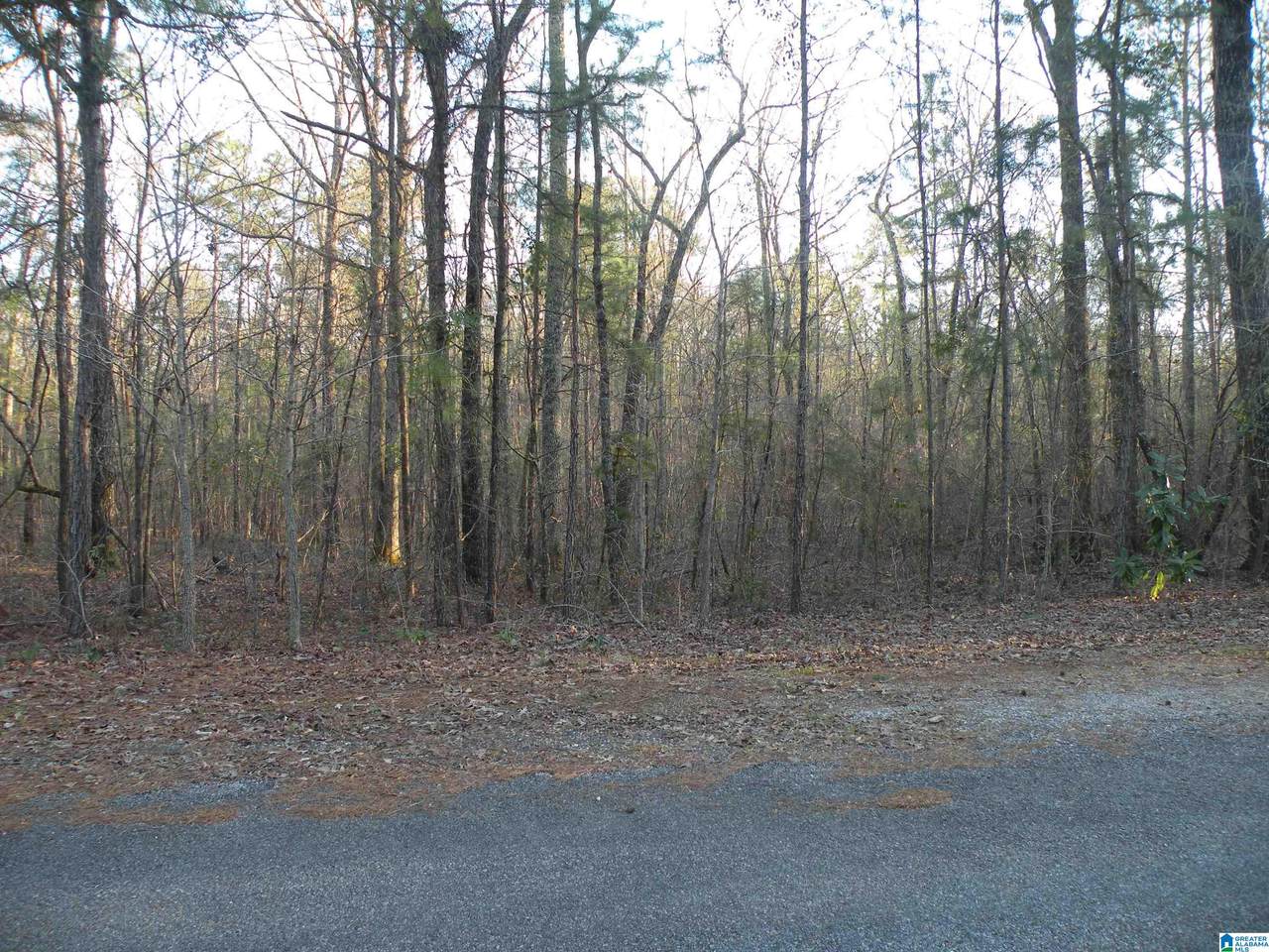 0 Billingsley Drive - Photo 1