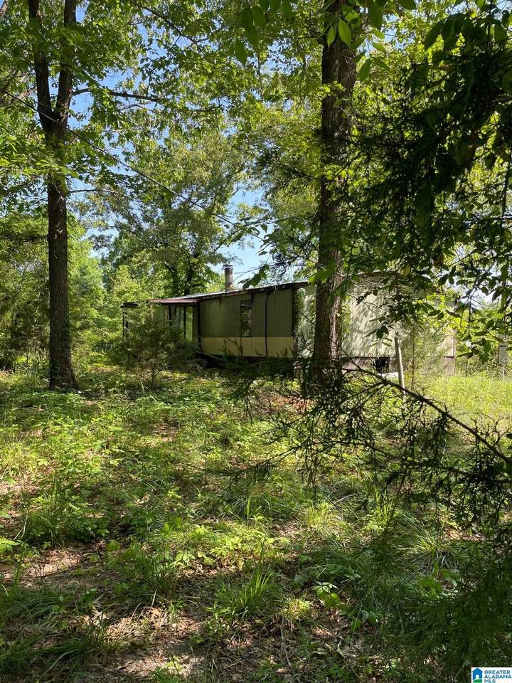 3033 County Road 10 - Photo 1